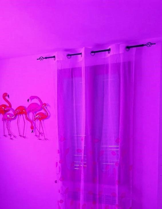 卡斯泰洛城La Casa Colorata公寓 外观 照片